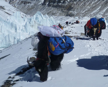 Everest advanced base camp trek